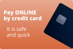 Pay online by credit card